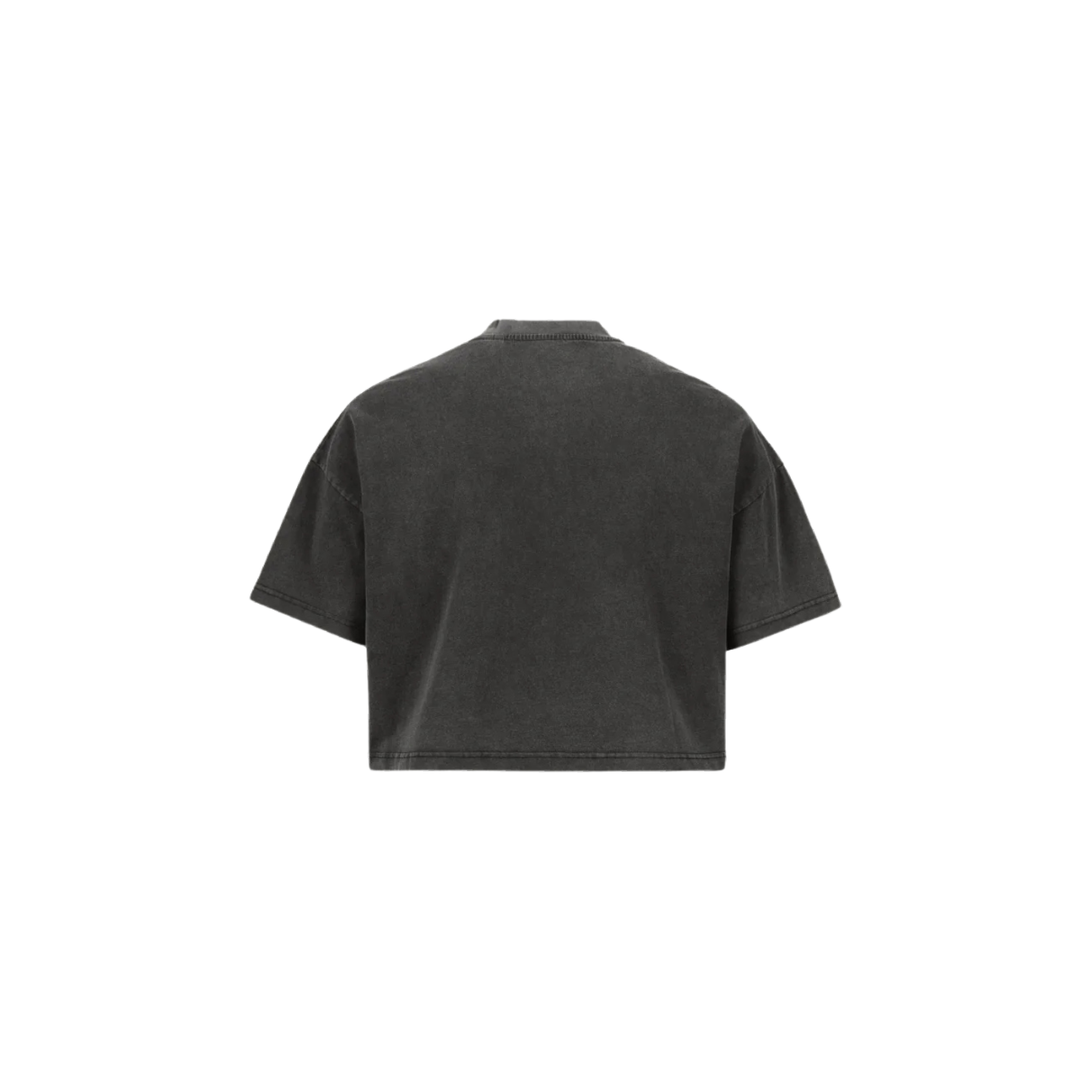 PPP Crop Top